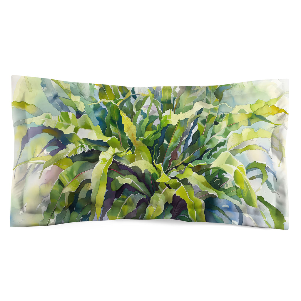 Floral Sham, Bird's Nest Fern