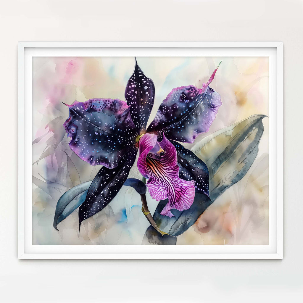 Floral Art Paper Print, Black Orchid