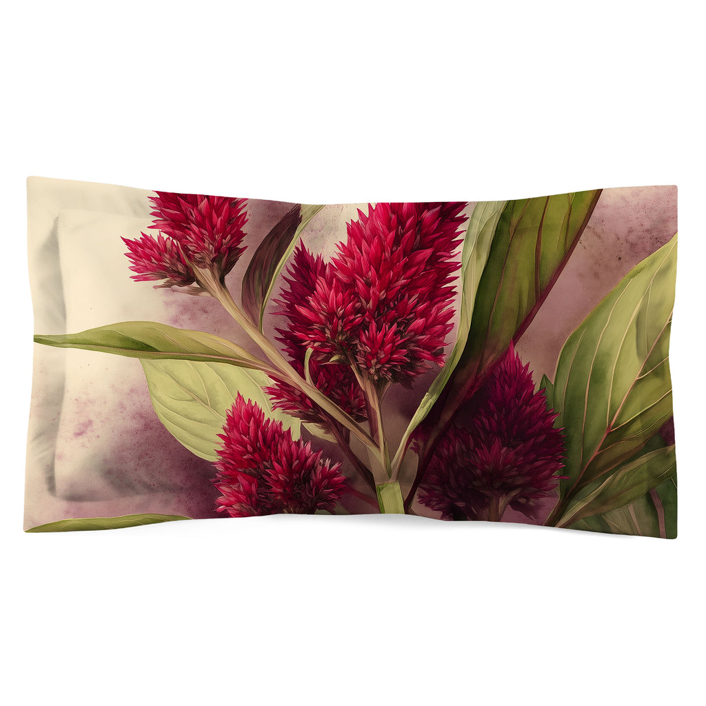 Floral Sham, Celosia Cocks Comb