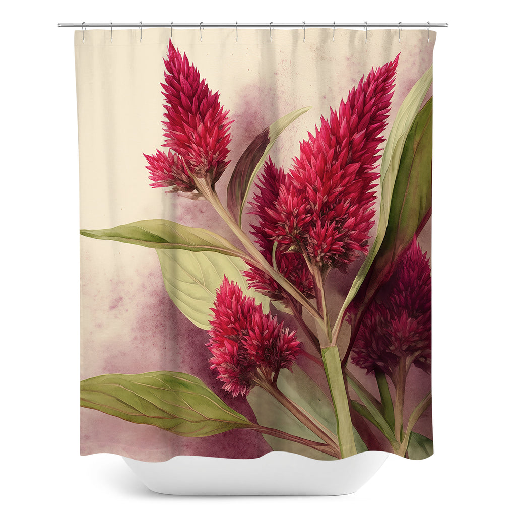 Floral Shower Curtain, Celosia Cocks Comb