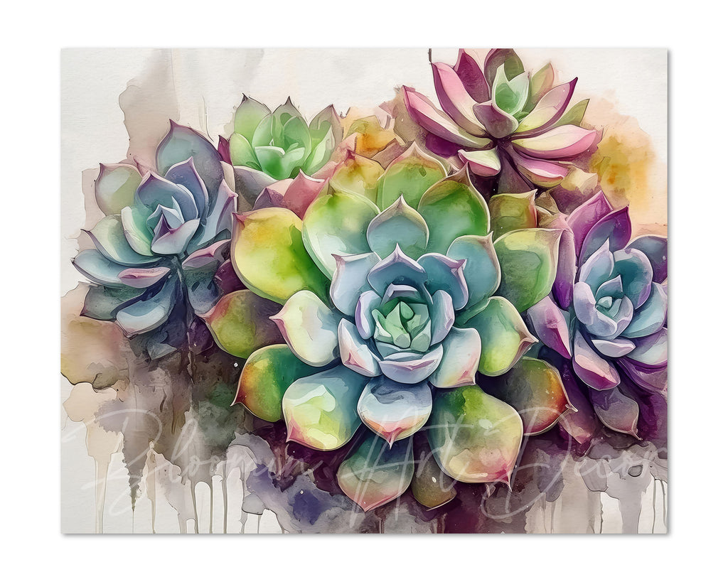 Floral Art Paper Print, Succulents Echeveria