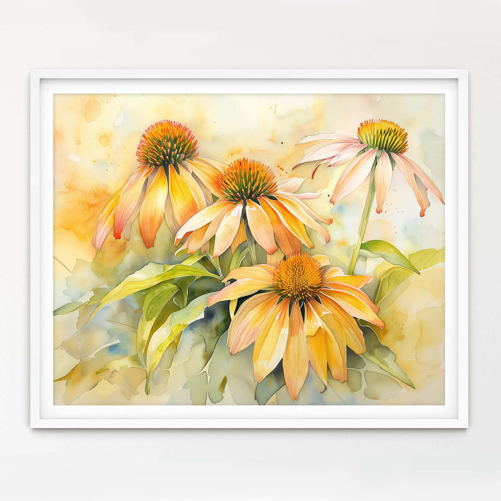 Floral Art Paper Print, Echinacea Coneflower