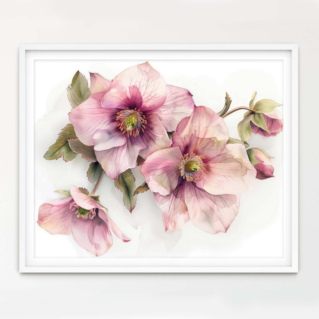 Floral Art Paper Print, Hellebore