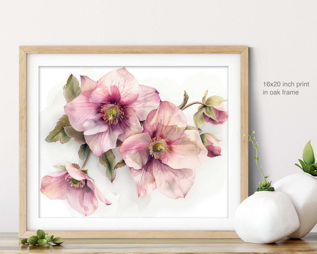 Floral Art Paper Print, Hellebore