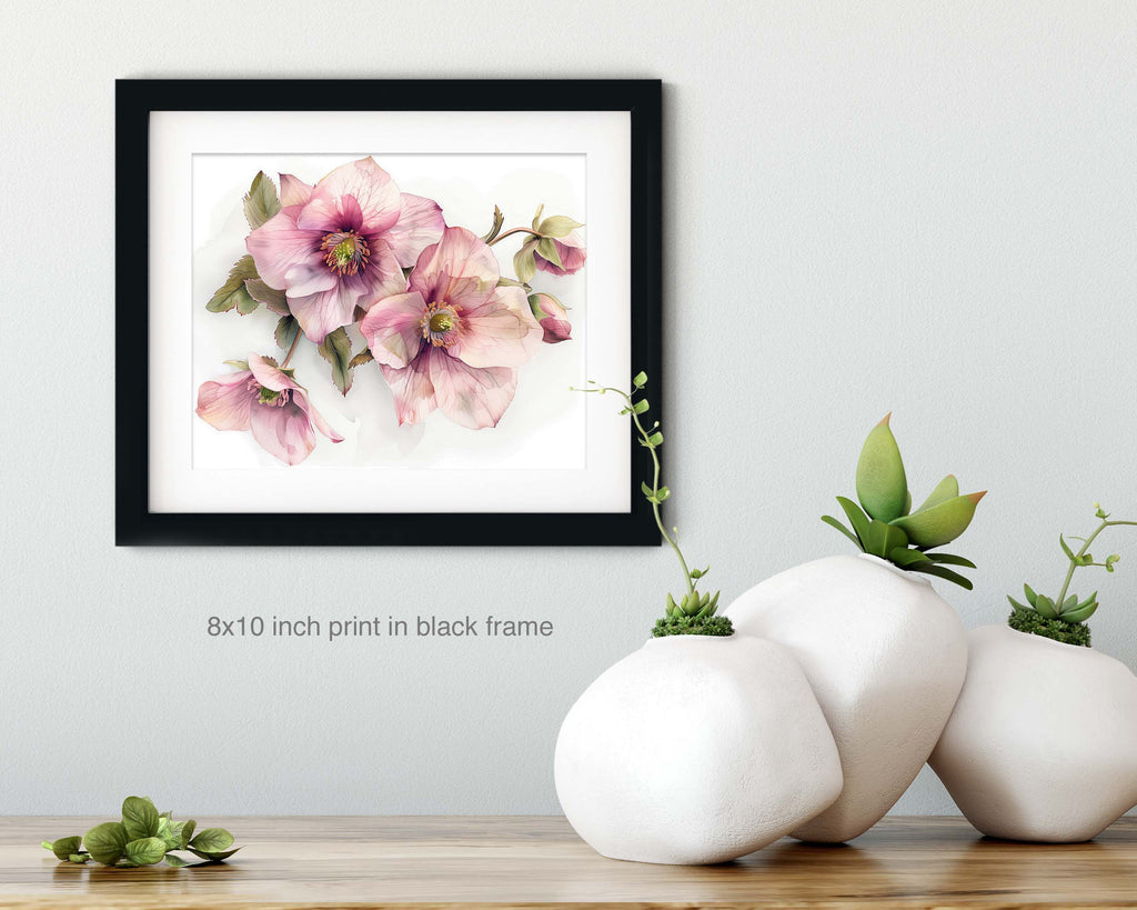 Floral Art Paper Print, Hellebore