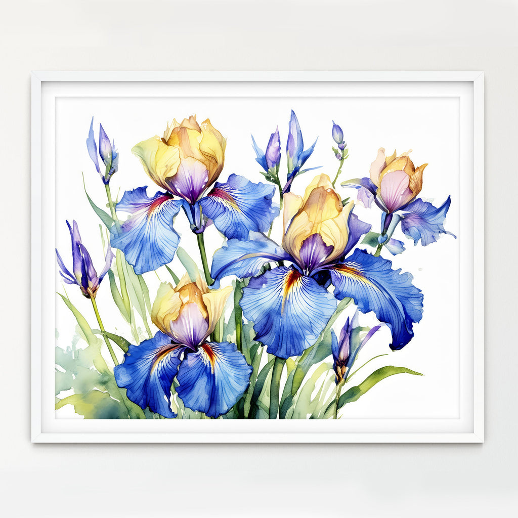Floral Art Paper Print, Iris