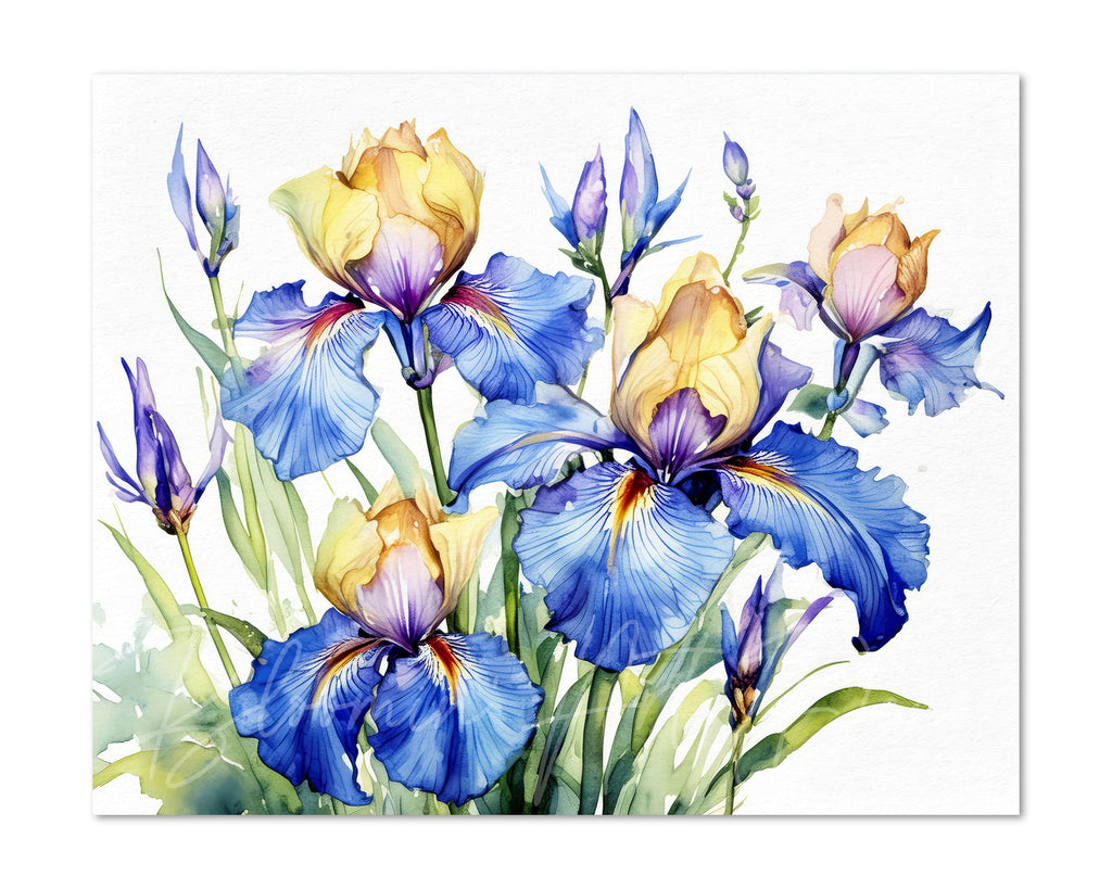 Floral Art Paper Print, Iris