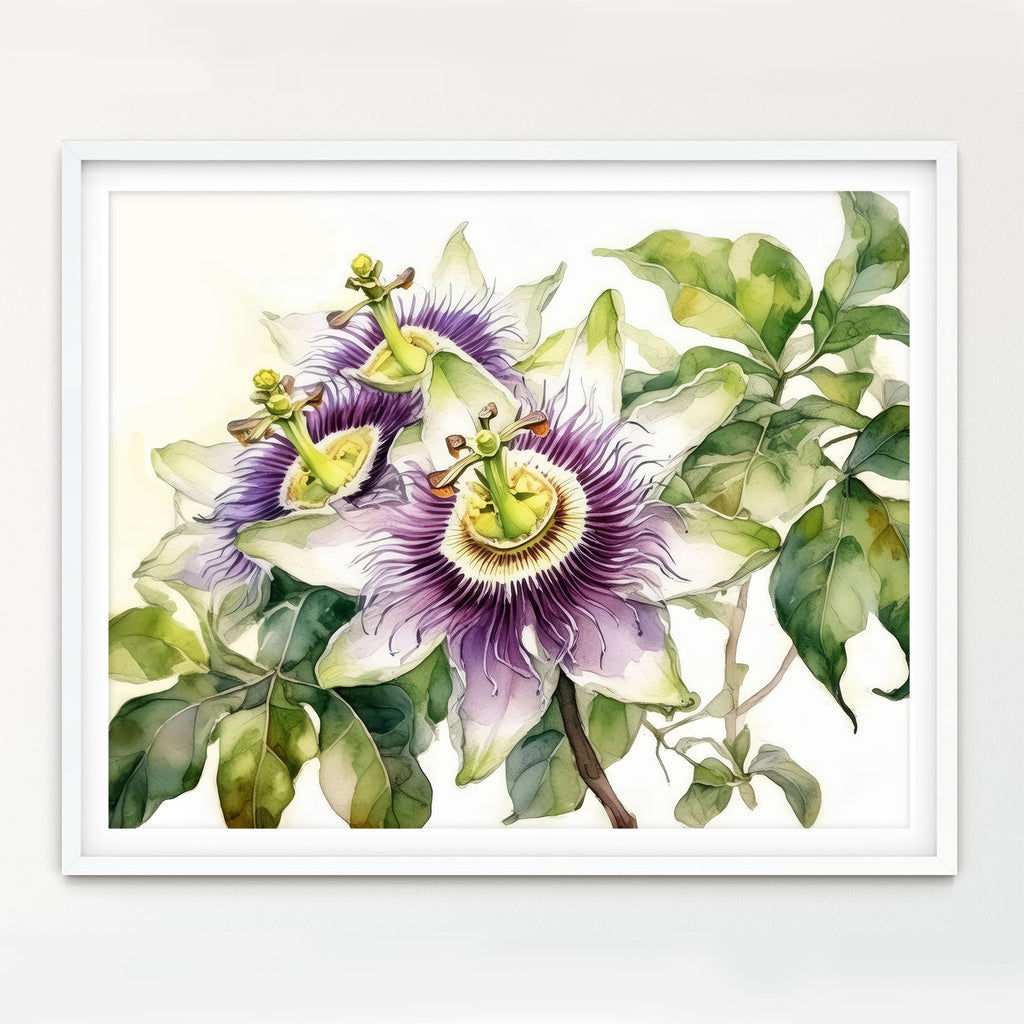 Floral Art Paper Print, Passionflower